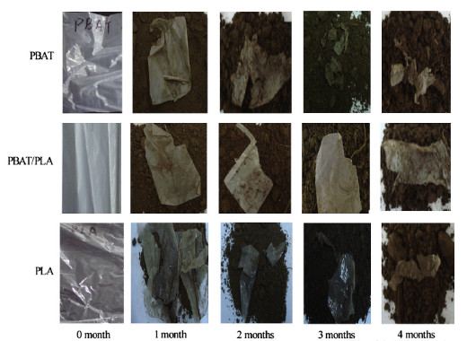 PBAT/PLA共混物生物（wù）降解塑料袋的降解過程(圖2)