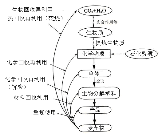 生(shēng)物分解塑料的回(huí)收再利用技术(shù)-生物降解环保塑(图1)