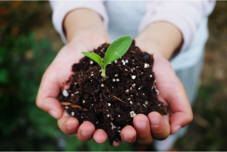 巴斯（sī）夫携手彤（tóng）程新材（cái）料集团在中国合作（zuò）生（shēng）产经 认 证可堆（duī） 肥共聚酯 （PBAT）(图2)