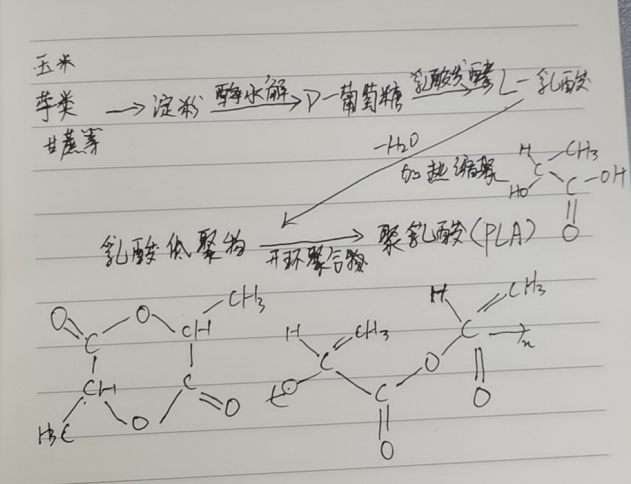 生物降解袋中的PLA是如何製得的？(圖2)